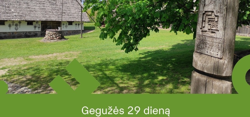 Nemokamas sekmadienis Basanavičynėje