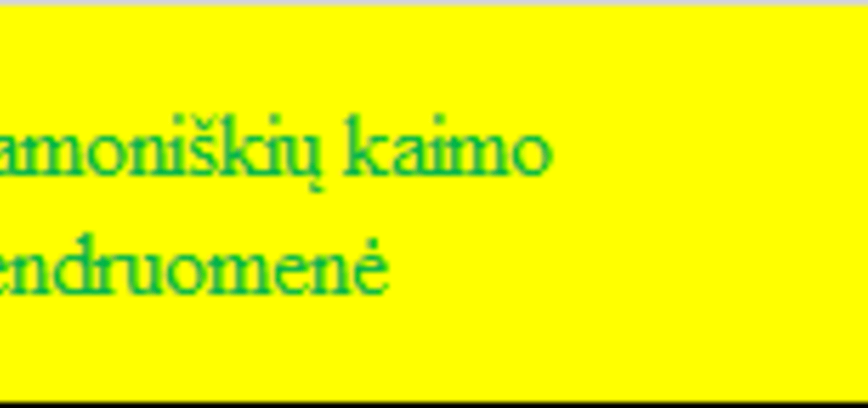 Przedsiębiorstwa społeczne we wsi Ramoniszki
