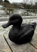 В городе Вилкавишкис поселилась утиная семья!!!