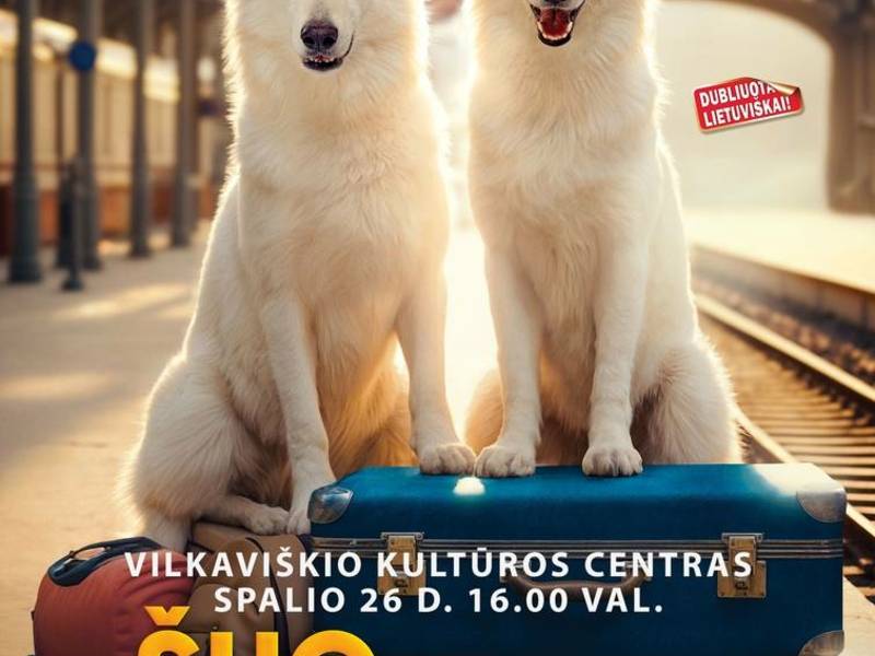 Kino filmai