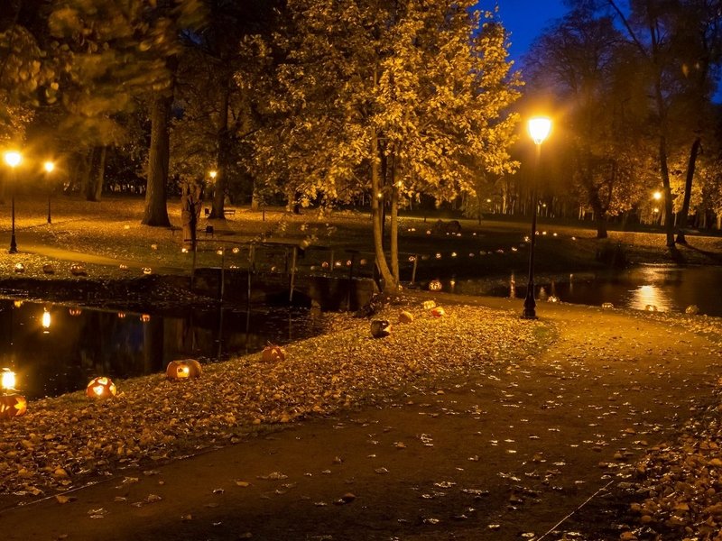 Moliūgų švieselės